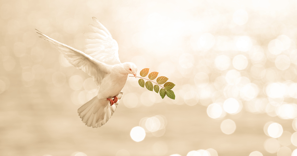 Barış Nedir İslam Dininin Nihai Hedefi Barış