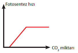 CO2 miktarının fotosentez hızına etkisi