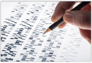 DNA parmak izi analizi